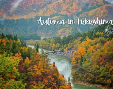fukushima tadami cover