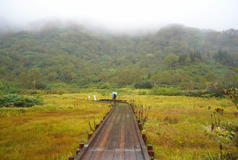 5 Nagano CP - Hakuba 1