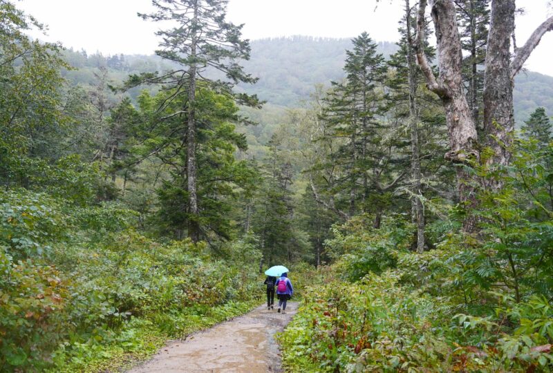 5 Nagano CP - Hakuba 4