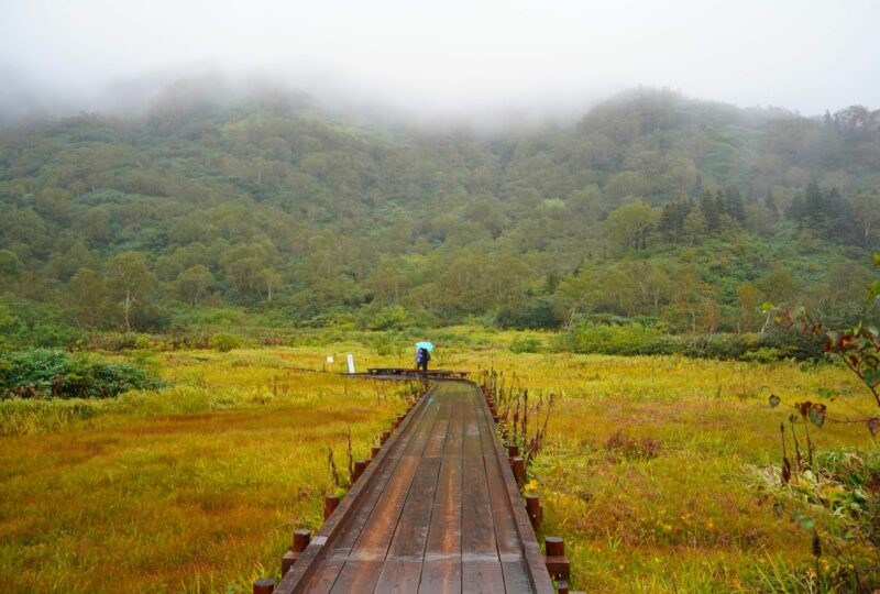 5 Nagano CP - Hakuba 8