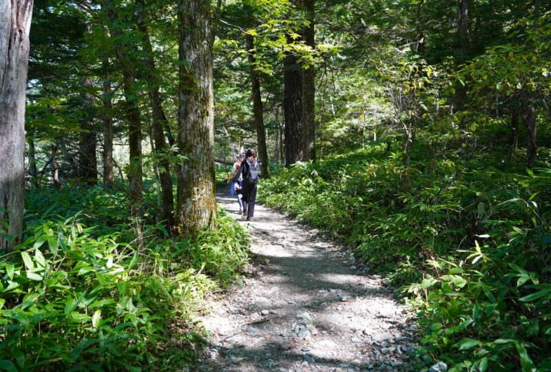 5 Nagano CP - Kamikochi 2