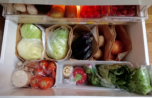 เชื้อโรค ในบ้าน