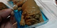 まるで本物そっくりの、子犬のゼリー　©matichon