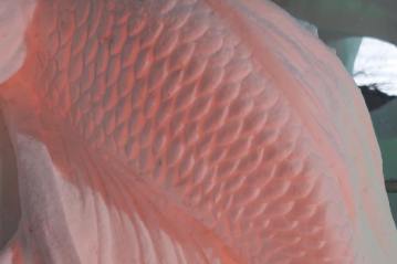 タイ人チームの作品 Photo by Hokkaido fanculb