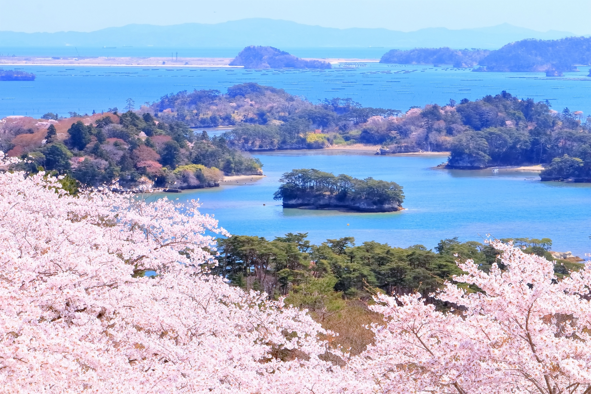 spring matsushima