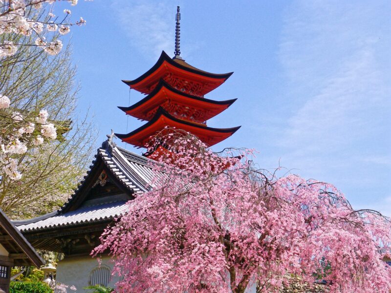 ซากุระ ฮิโรชิมะ