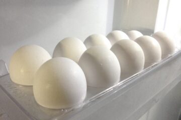 เก็บไข่ ตู้เย็น