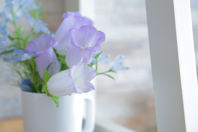 ดอกไม้ ขอบคุณ ญี่ปุ่น