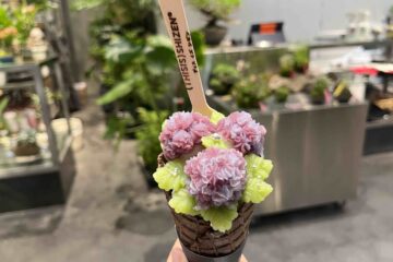 5 Hydrengea Desserts