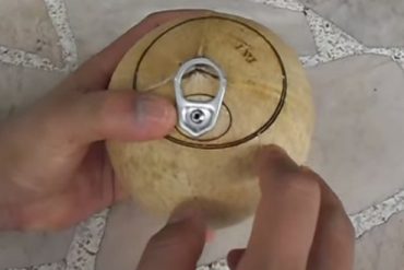 缶ジュースのようなココナッツの実