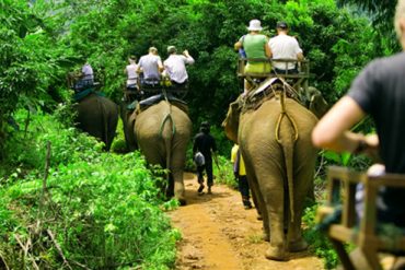 タイはまた来たい!っておもう国