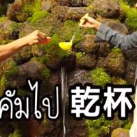 京極の湧き水で乾杯