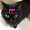mochi