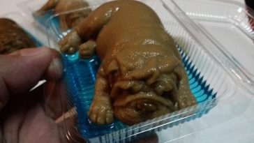 まるで本物そっくりの、子犬のゼリー　©matichon