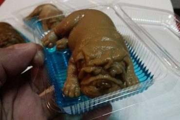 まるで本物そっくりの、子犬のゼリー　©matichon