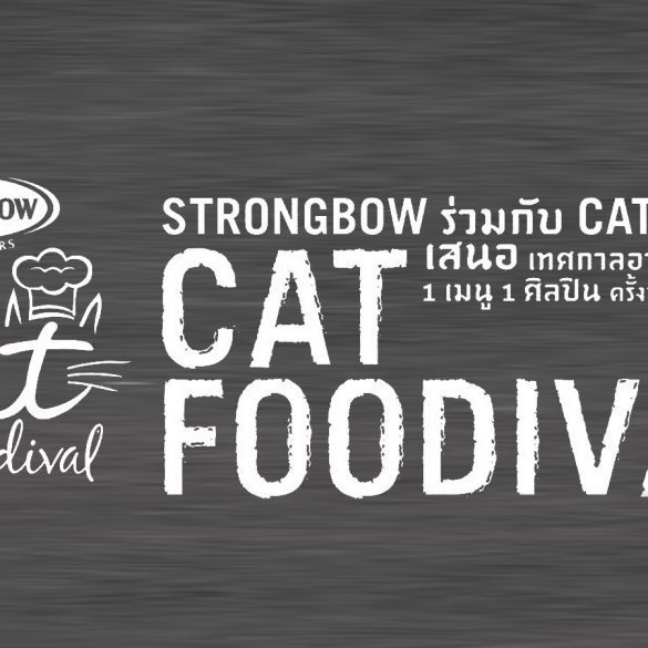 Cat Foodival 3